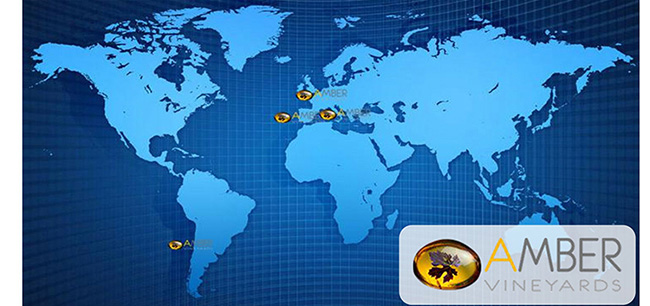 烏摩珍釀赤霞珠干紅葡萄酒【13度750ml】