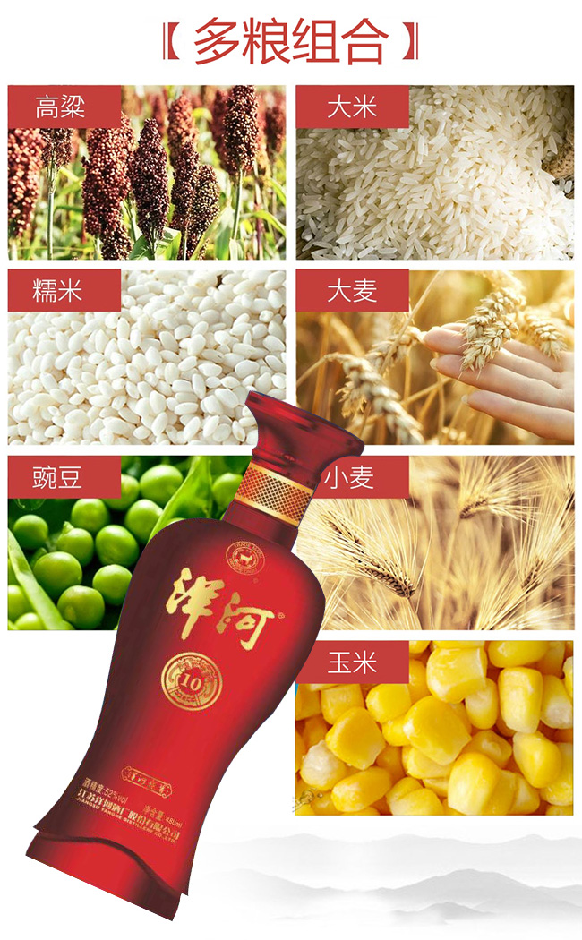 洋河年份酒龍尊10