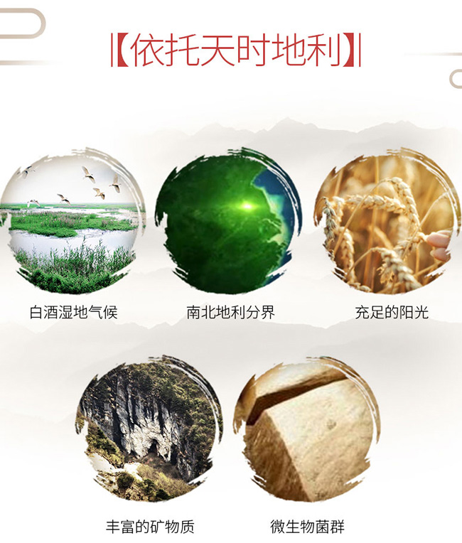 洋河年份酒龍尊20