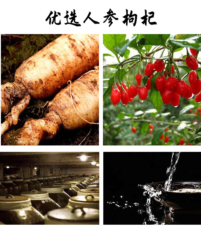 國夢家酒年伶人參枸杞茶缸酒200mlX12