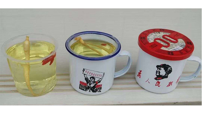 國夢家酒年伶人參枸杞茶缸酒200mlX12