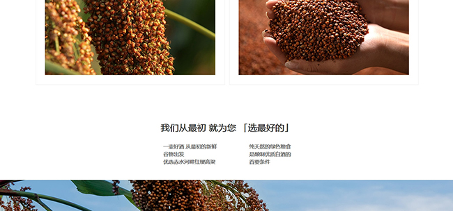 窖公酒窖藏15醬香型白酒【53°500ml】