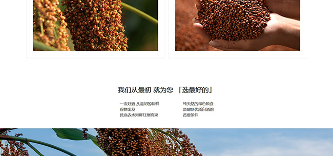 窖公酒窖藏8醬香型白酒【53°500ml】