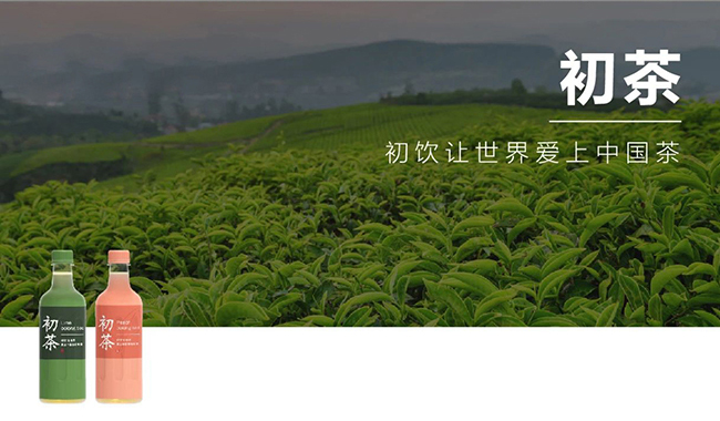 初飲初茶蜜桃烏龍茶【500ml】