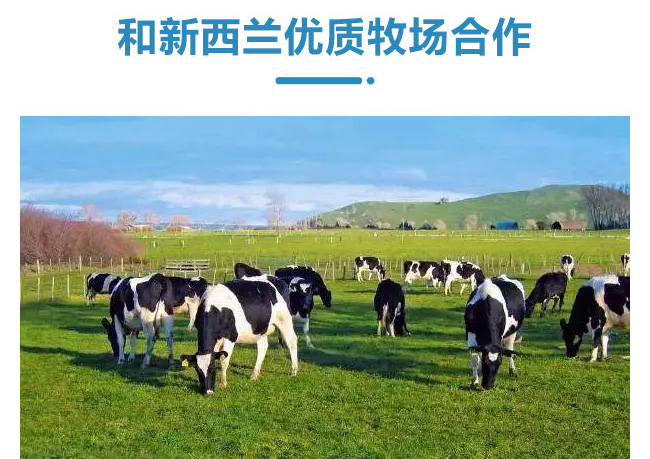 初飲冰激淋酸奶飲品【300g】