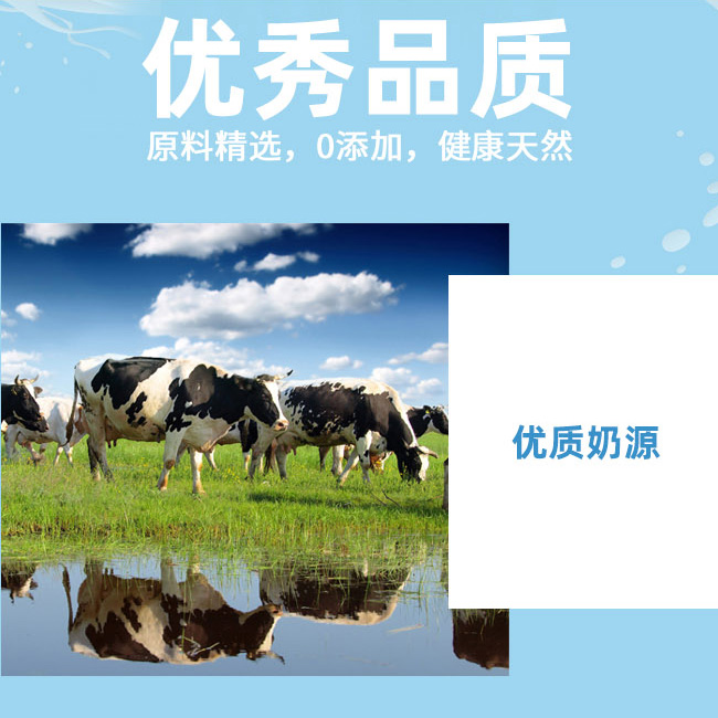 初飲我還是個寶寶原味酸奶飲品【260g】