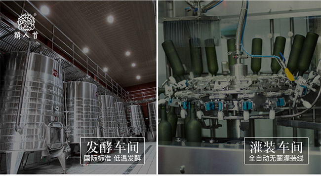 類人首R(shí)4干紅葡萄酒13°750ml