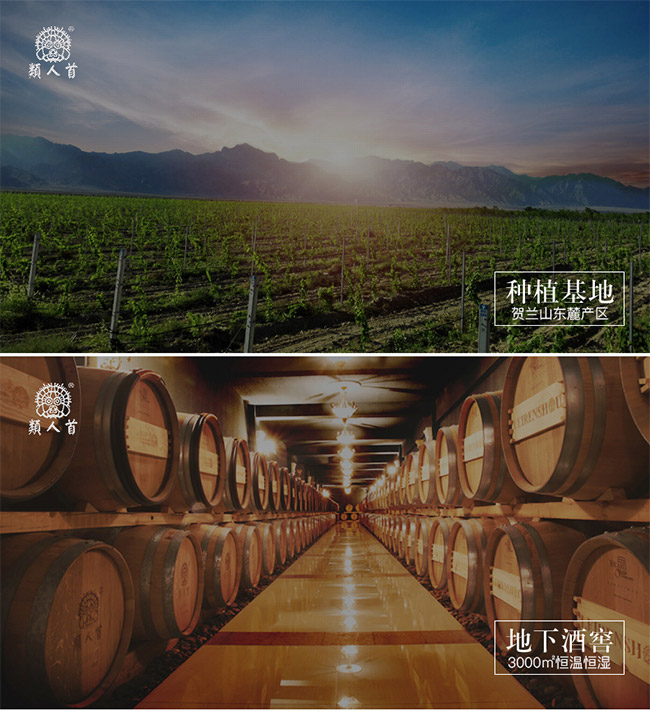 類人首R5干紅葡萄酒