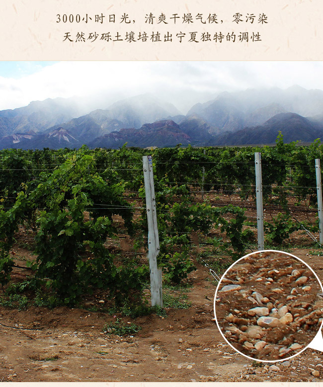 類人首鉆石梅鹿輒干紅葡萄酒13.3°750ml