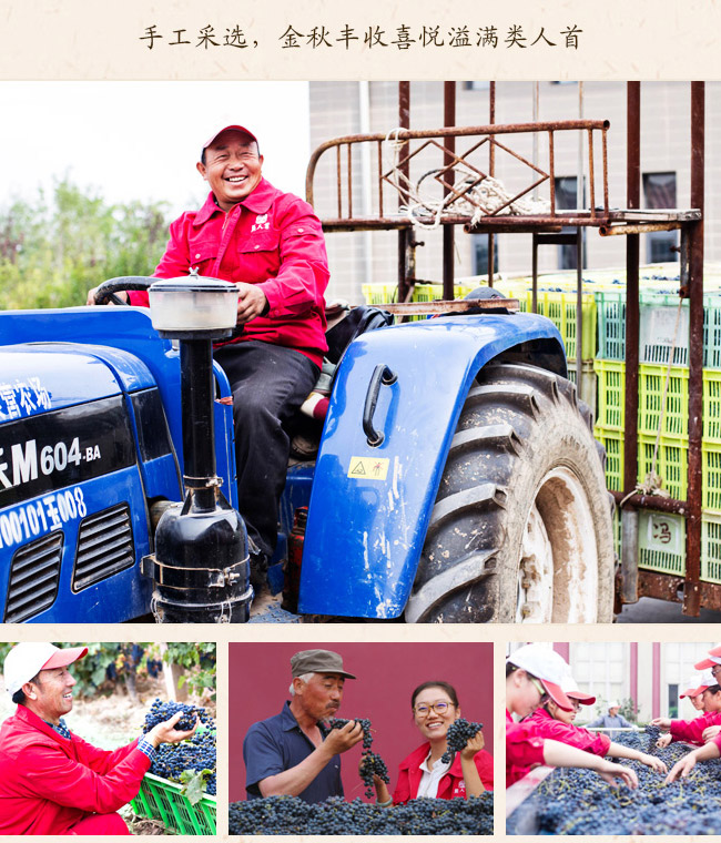 類人首鉆石梅鹿輒干紅葡萄酒13.3°750ml