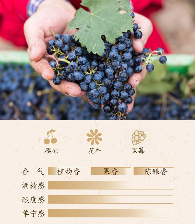 類人首鉆石梅鹿輒干紅葡萄酒13.3°750ml