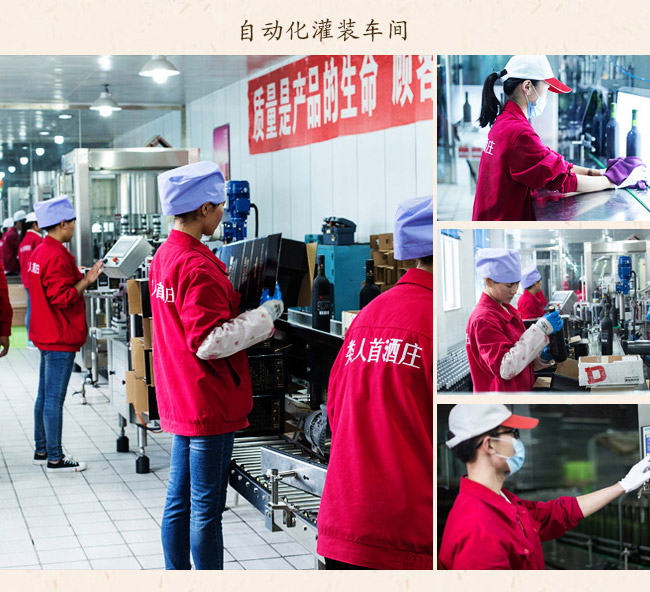 類人首鉆石梅鹿輒干紅葡萄酒13.3°750ml