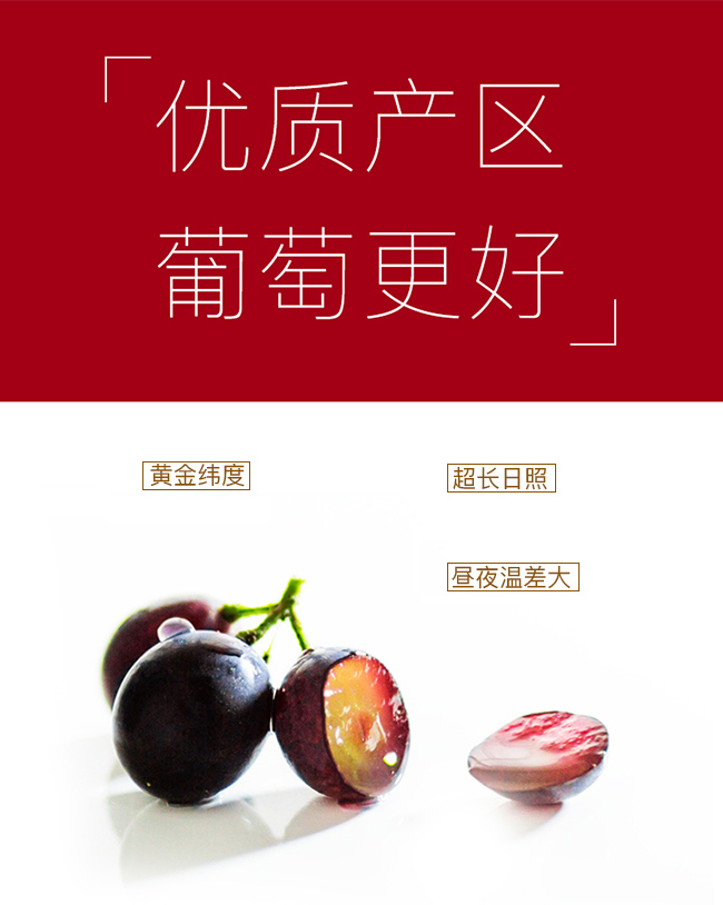 類人首經典蛇龍珠干紅葡萄酒12°750ml