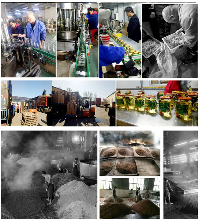 白山貢長白山人參酒紅標42°52°500ml