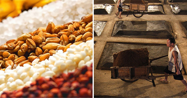 輝煌騰達酒·豪華裝