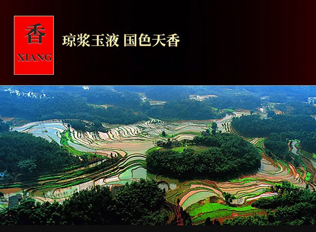 恭喜發財酒-小飄香