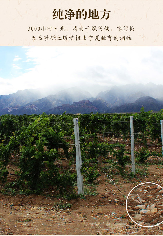 ׽ ľͰѲѾ13.5750ml