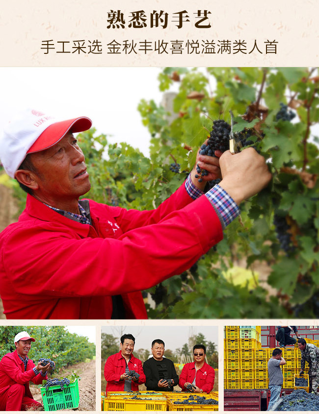 ׽ ľͰѲѾ13.5750ml