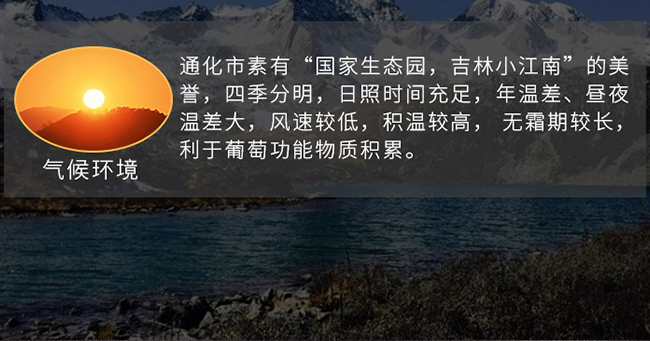 紫桐黑鉆冰紅葡萄酒