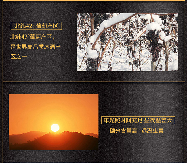 紫桐黑鉆冰紅葡萄酒