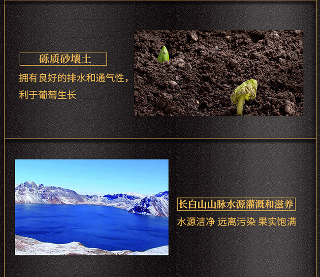 紫桐黑鉆冰紅葡萄酒