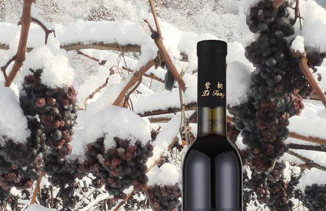 紫桐黑鉆冰紅葡萄酒