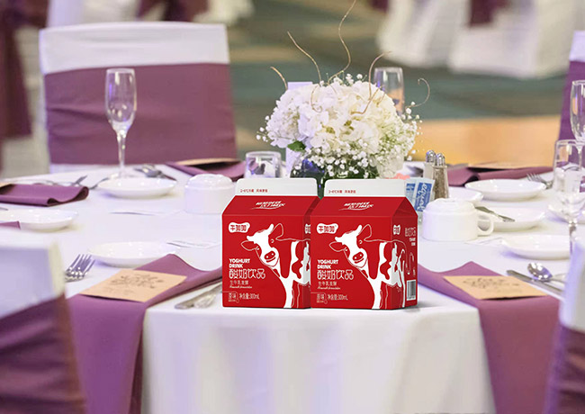 牛加加酸奶飲品生牛乳發酵300ml