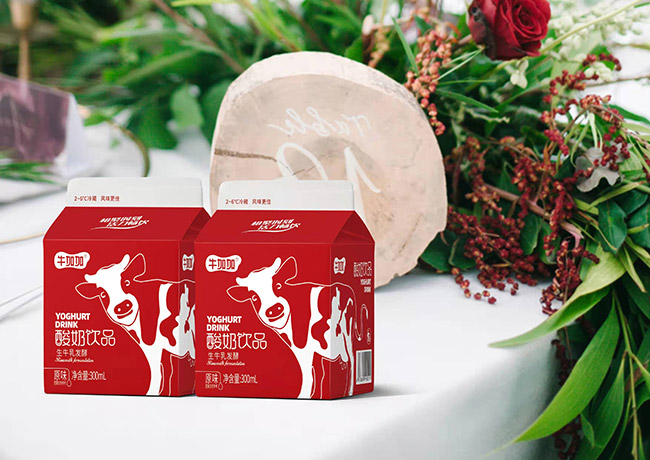 牛加加酸奶飲品生牛乳發酵300ml