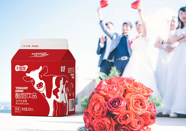 牛加加酸奶飲品生牛乳發酵300ml