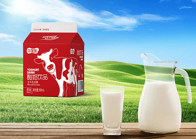 牛加加酸奶飲品生牛乳發酵300ml