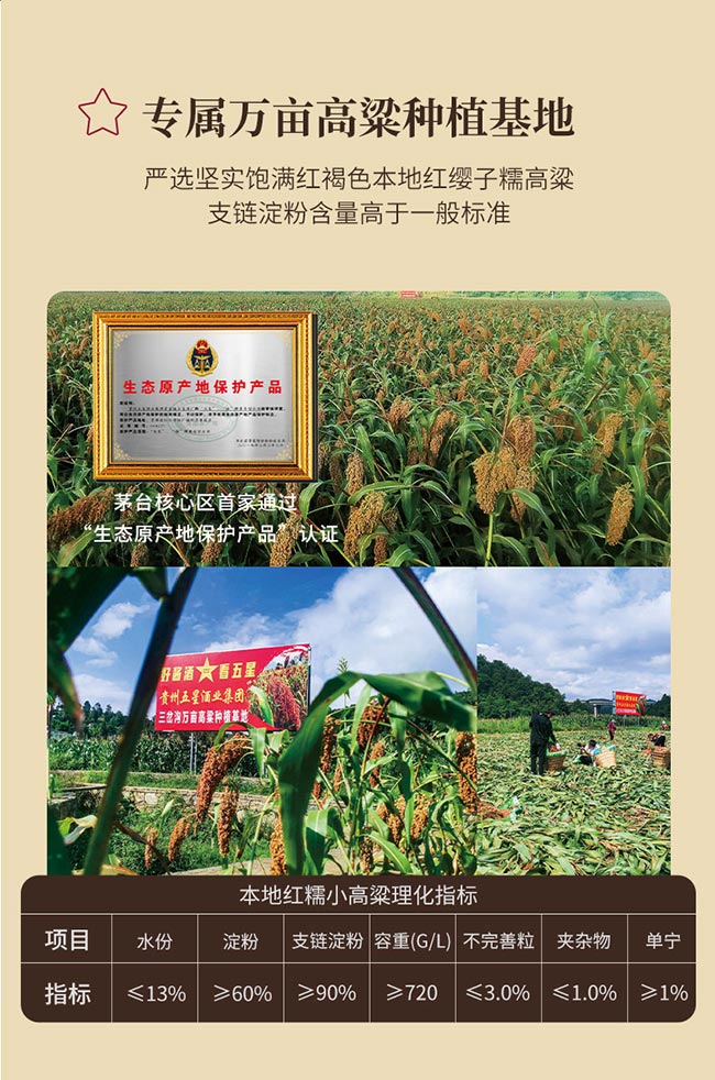 金權馬醬酒 醬香型白酒【53° 500ml】