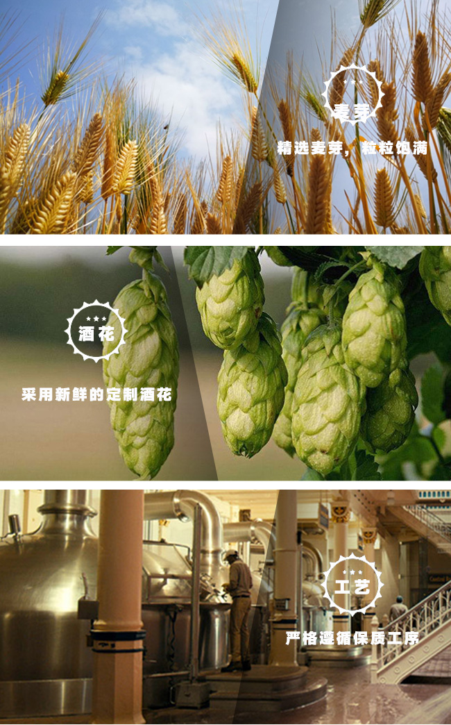 冰純啤酒【310ml】