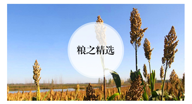 魏亳坊生態原漿酒鴻運濃香型白酒【42°52°500ml】