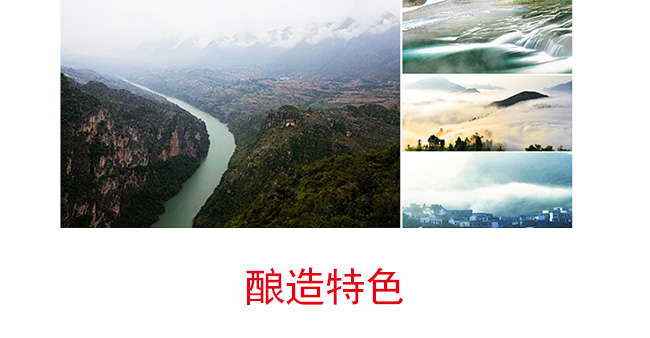 迎賓點醬酒工匠醬香型白酒