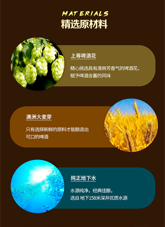 青島海博爾啤酒