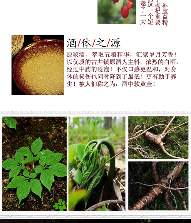 蘊泉坊人參酒【52° 2L】