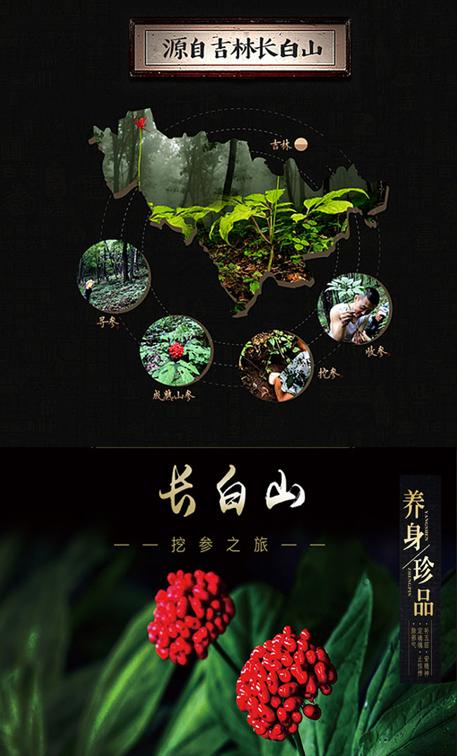 蘊泉坊人參酒【52° 2L】