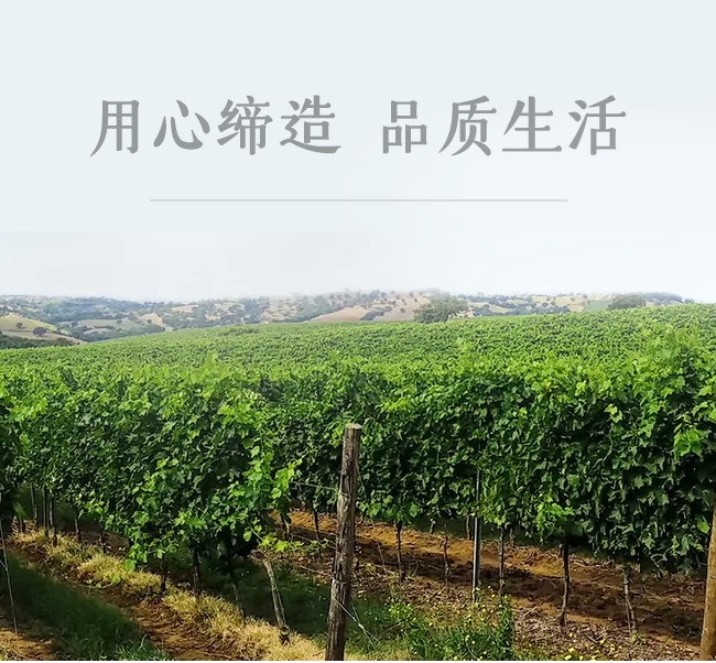 深圳美凱隆進(jìn)出口貿(mào)易有限公司