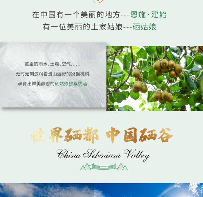 硒姑娘獼猴桃酒【9° 375ml】