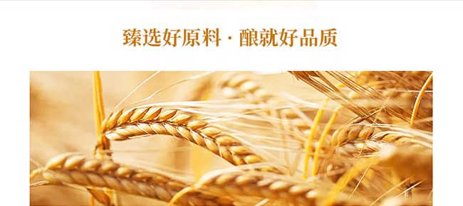 中 國龍精釀原漿禮盒裝1L×6桶