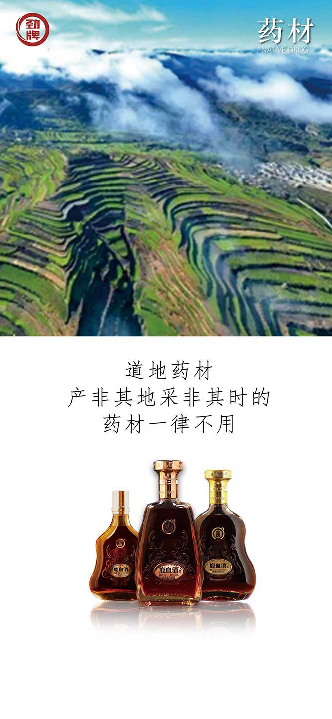 勁牌鹿血酒【42度 150ml】