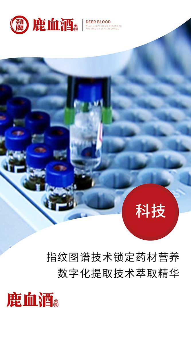 勁牌鹿血酒【42度 150ml】