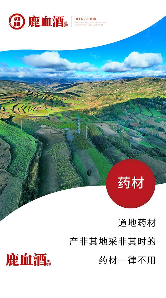 勁牌鹿血酒【42度 150ml】