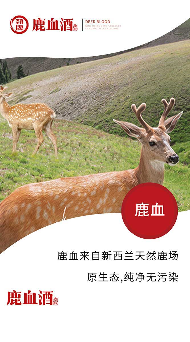 勁牌鹿血酒【42度 150ml】