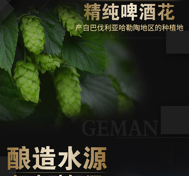 坦克伯爵精釀德式小麥白啤酒【11.5° 450ml】