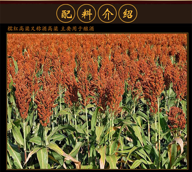 貴州迎賓酒五星上醬 醬香型白酒【53° 500ml】