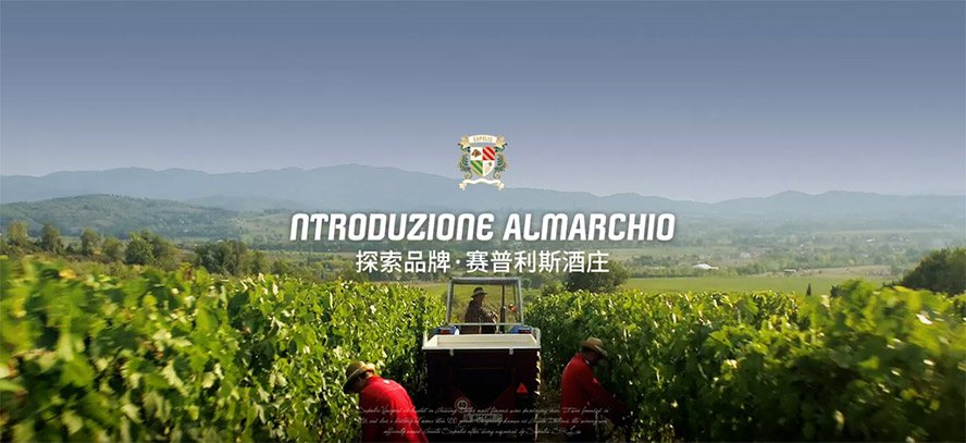 賽普利斯國際貿易(廣州)有限公司,產品火爆招商中。