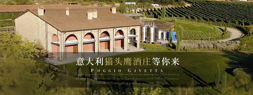 賽普利斯國際貿易(廣州)有限公司,產品火爆招商中。