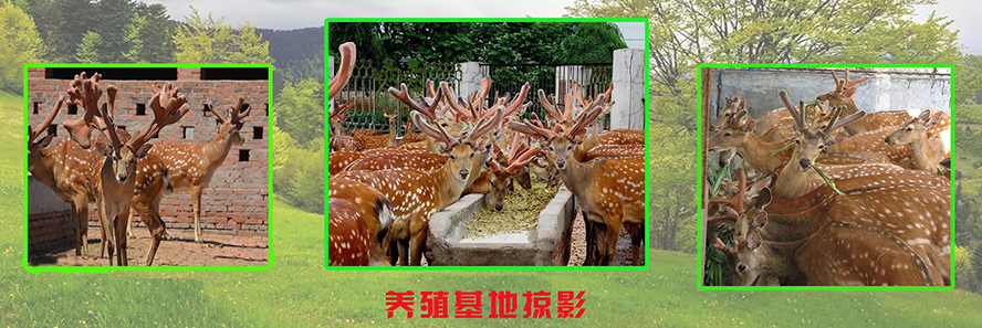 ɽ�|С¹�ɾƘI���޹�˾