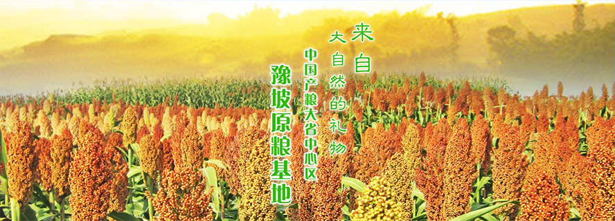 ����ԥ�¾ƘI����؟�ι�˾